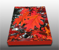 Beautiful red oak tree leaves